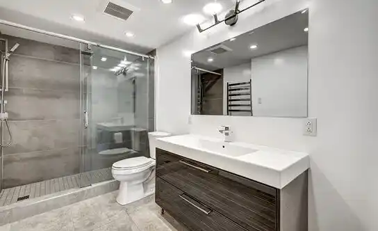 bathroom services Bellevue